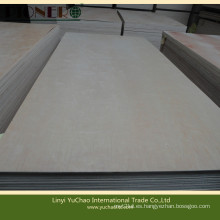 Carb Fsc Certificado de madera contrachapada de abedul blanco para muebles